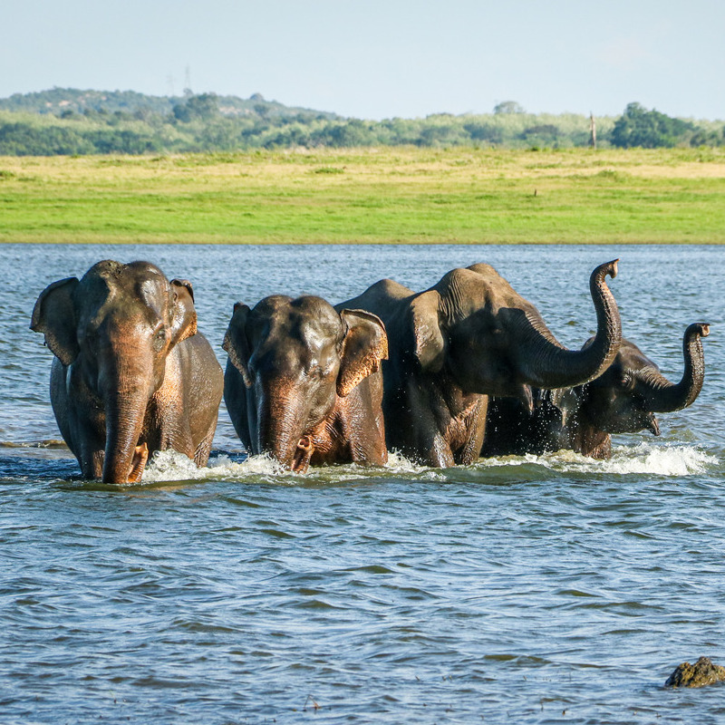 reizen naar Azië met Explore