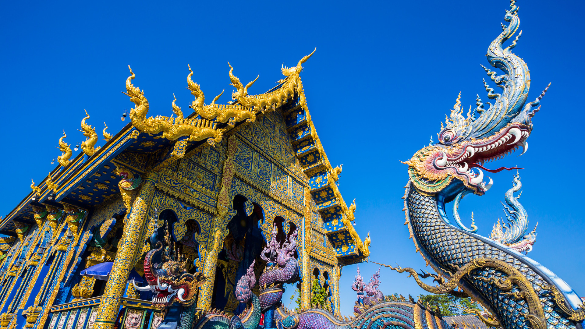 reizen naar Azië met Explore