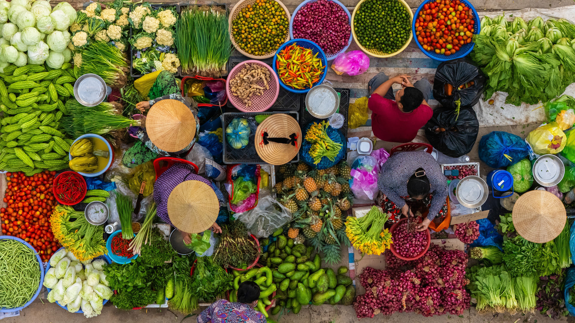reizen naar Azië met Explore