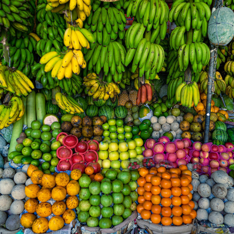 reizen naar Sri Lanka met Explore