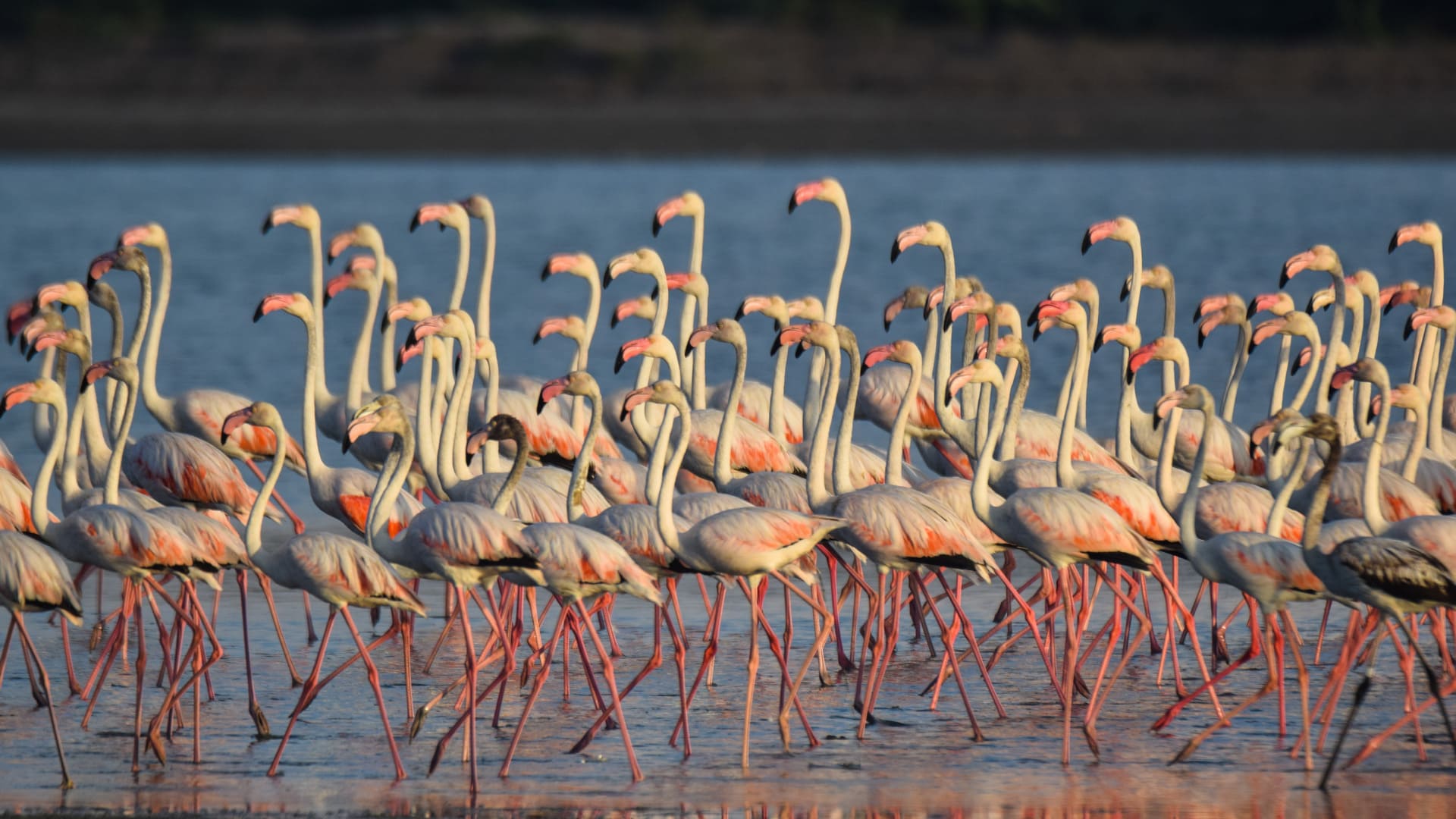 reizen naar Sri Lanka met Explore