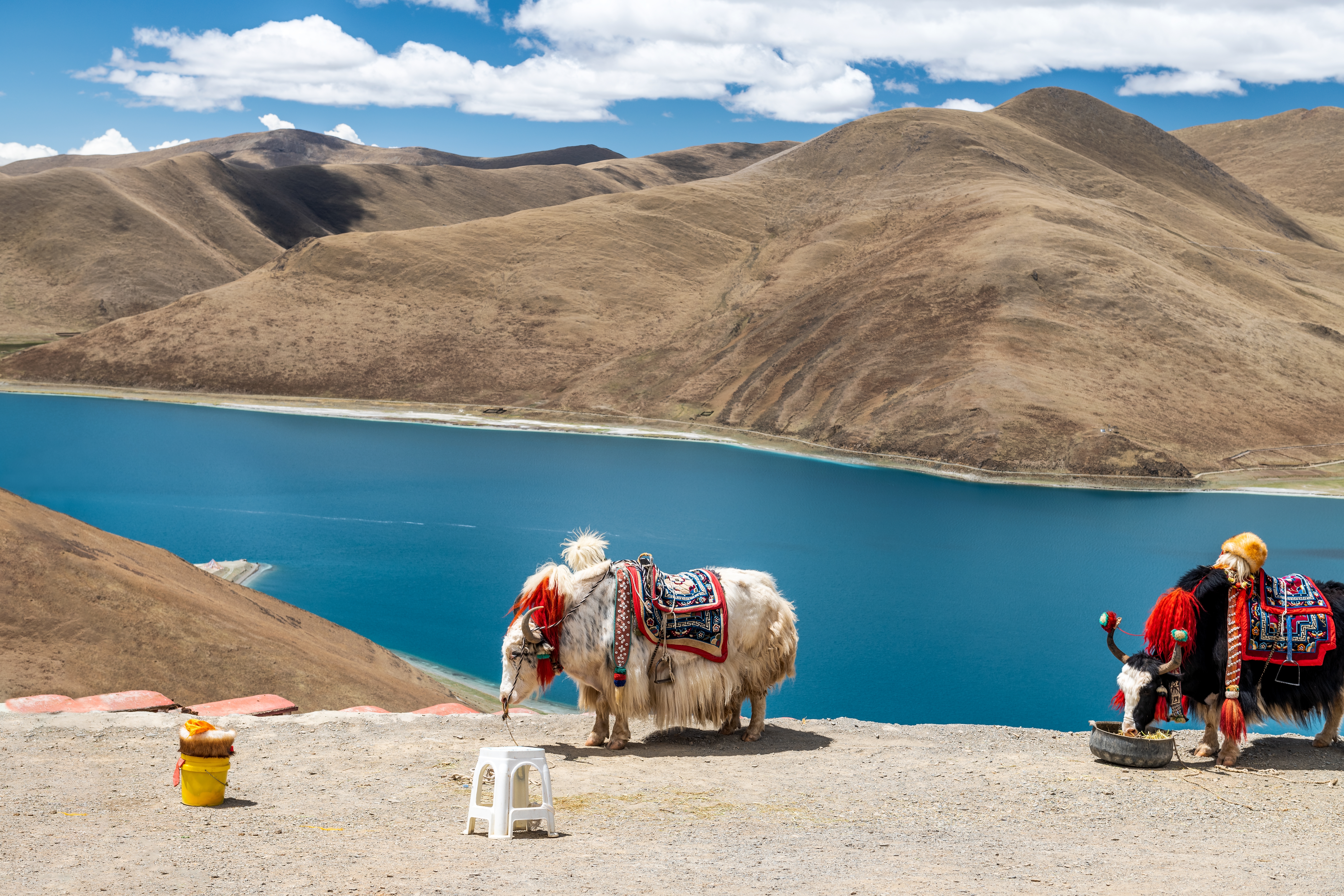 reizen naar Tibet met Explore