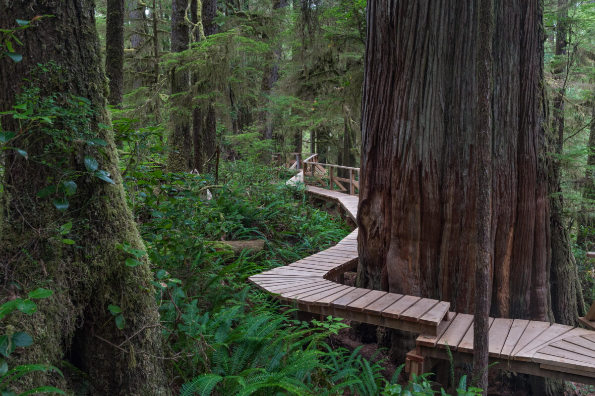 Vancouver Island, Tofino en Ucluelet, Pacific Rim National Park, wandelpad