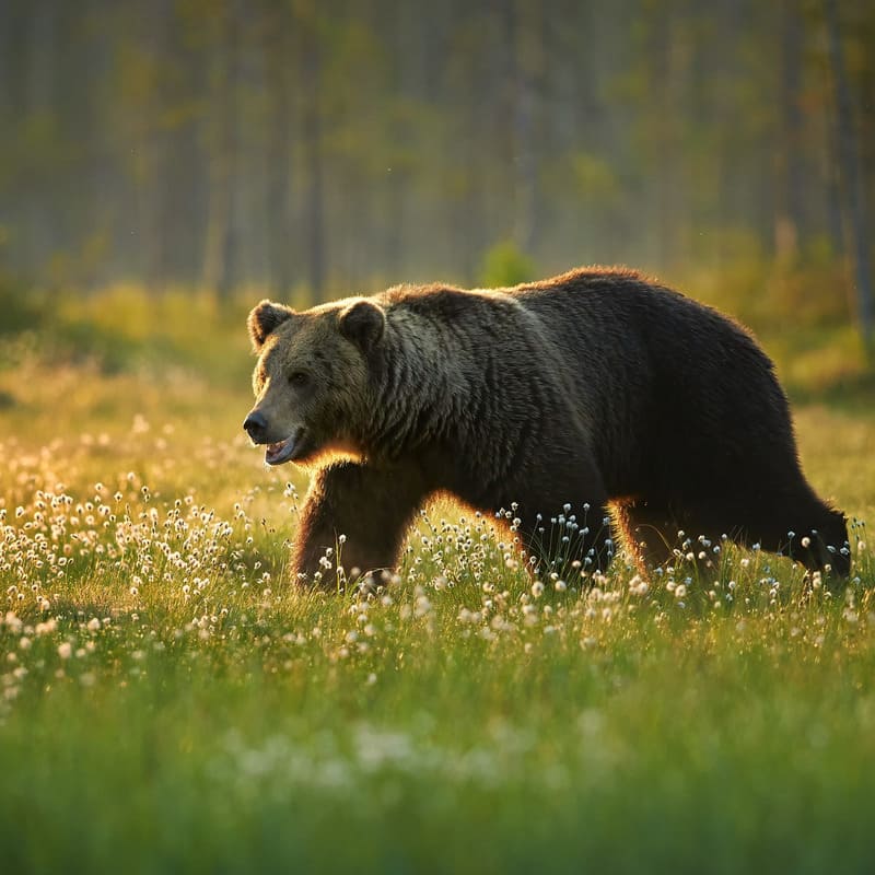 reizen naar Noord-Amerika met Explore