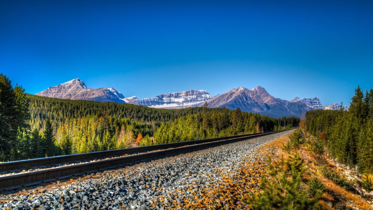 Spoorlijn loopt door een dicht naaldbos richting de besneeuwde toppen van de Rocky Mountains onder een helderblauwe hemel – Canada – reizen met Explore