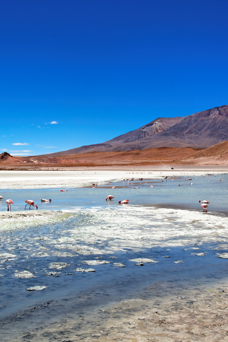 Meer in Altiplano in Atacama, Chili - reizen met Explore
