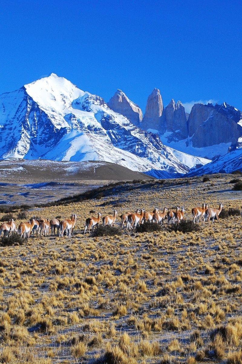 Patagonia Active Deluxe