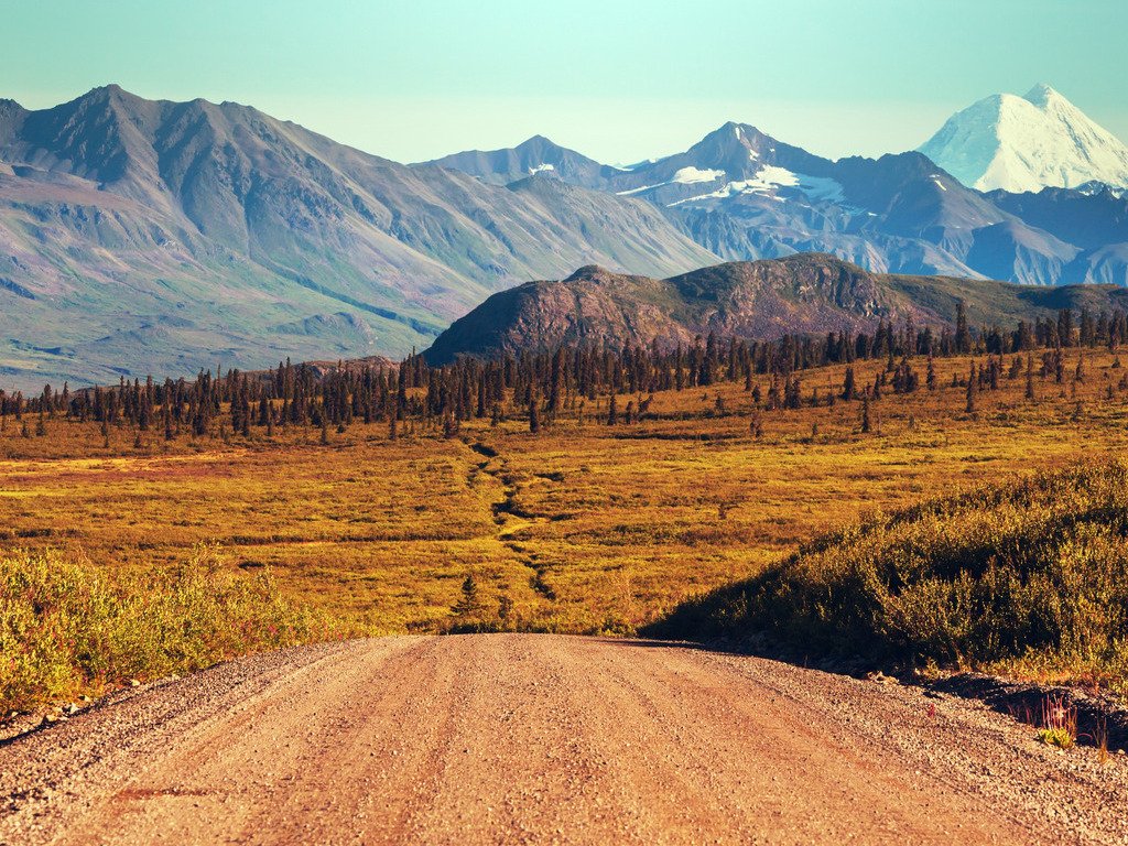 Gravelroad slingert door het landschap bij Denali National Park, Alaska – reizen met Explore.