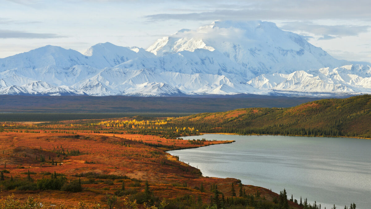 Uitzicht op Denali en herfstlandschap in Denali National Park – reizen met Explore