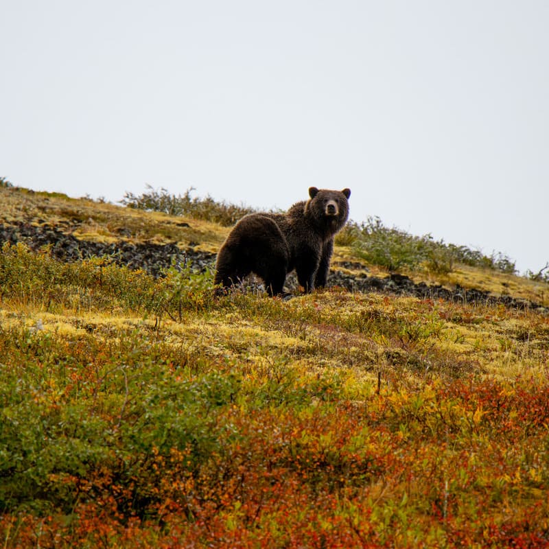 reizen naar West-Canada met Explore
