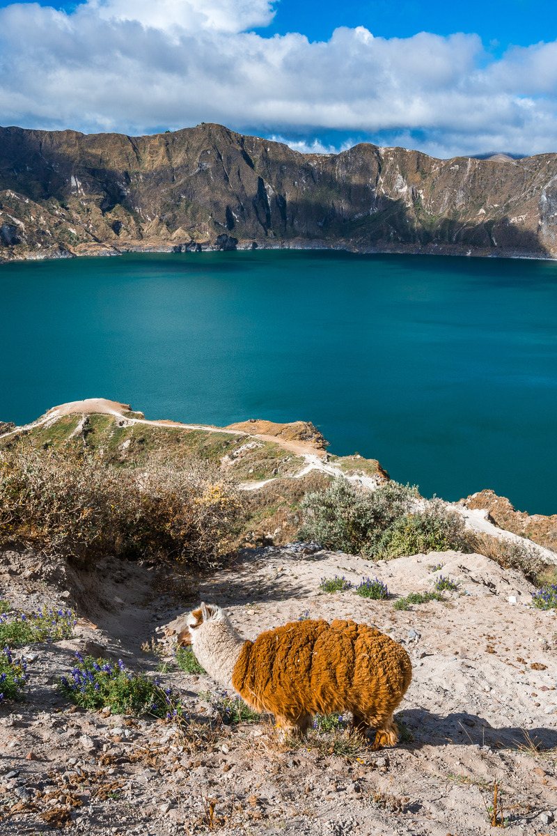 Quilotoa krater meer in Ecuador - reizen met Explore