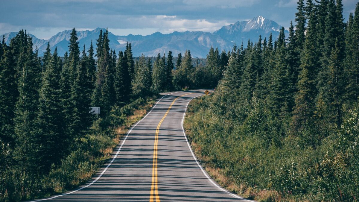 Bochtige weg door dichte sparrenbossen met op de achtergrond besneeuwde bergtoppen langs de Richardson Highway, Alaska – reizen met Explore