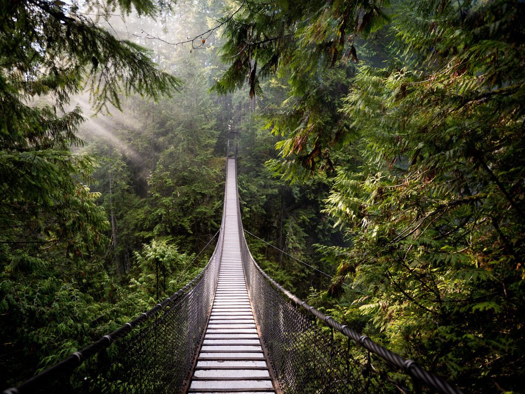 Capilano Suspension Bridge omringd door een dicht regenwoud bij Vancouver – Canada – reizen met Explore.