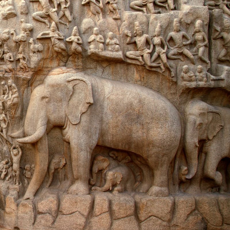 Tamil Nadu temple wall with elephant carvings