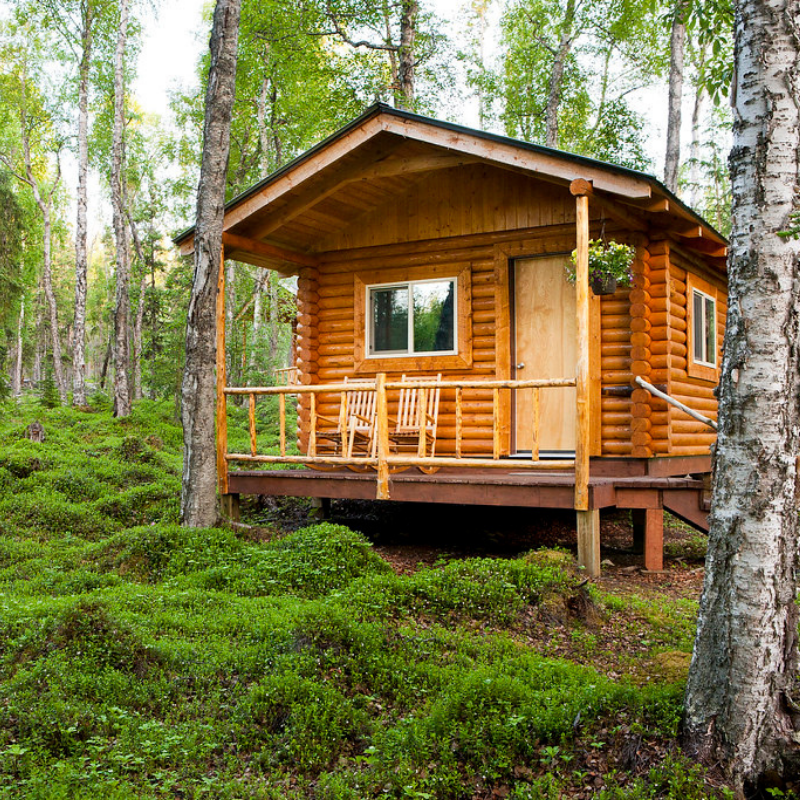 Een cabin in het bos bij Kenai Backcountry Lodge - reizen met Explore