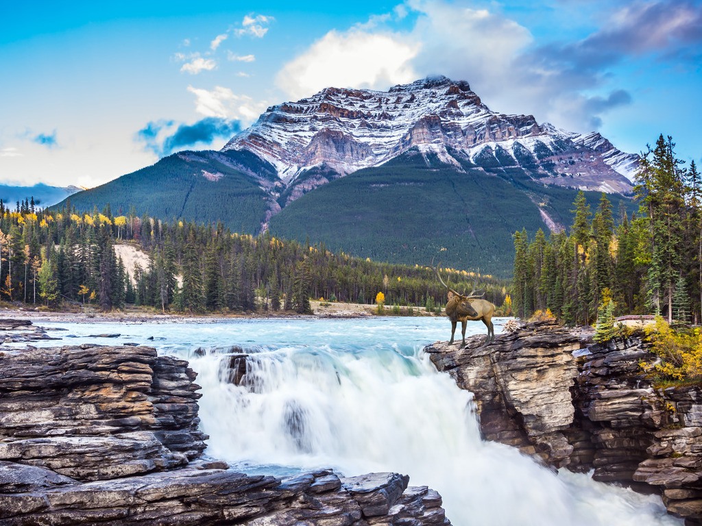 Athabasca Falls met eland en bergen in Jasper National Park, Canada – reizen met Explore.