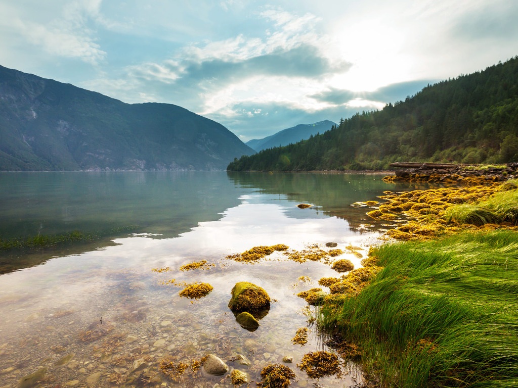 Oever met gras in Bella Coola - reizen met Explore