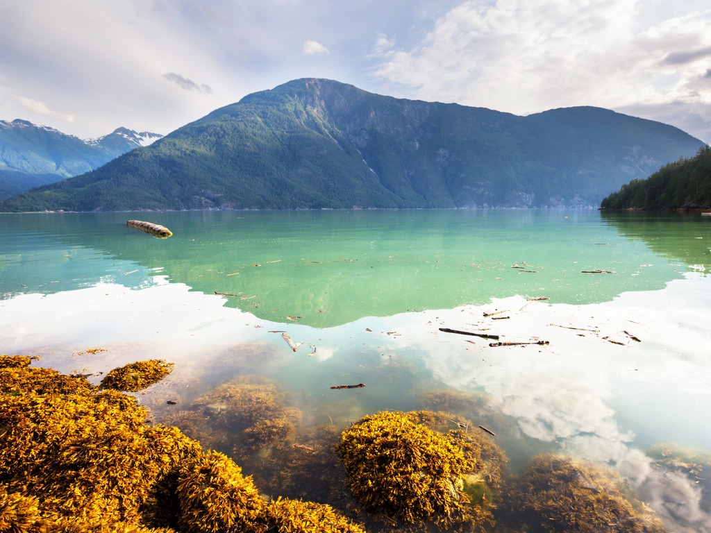 Uitzicht op een meer omringd door bergen in Bella Coola – Canada – reizen met Explore.