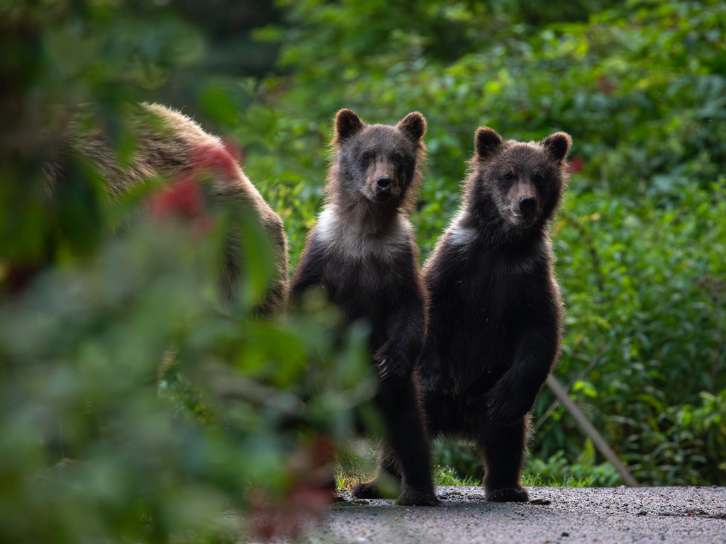 reizen naar Canada met Explore