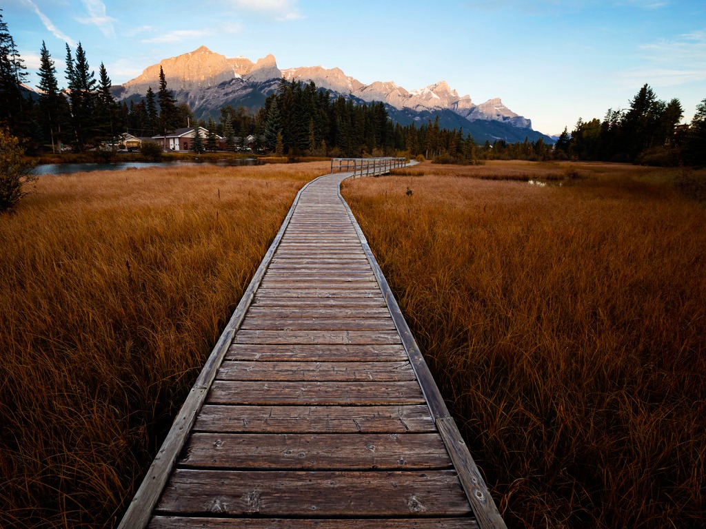 Houten wandelpad door gouden graslandschap met bergen op achtergrond in Canmore, Canada – reizen met Explore.