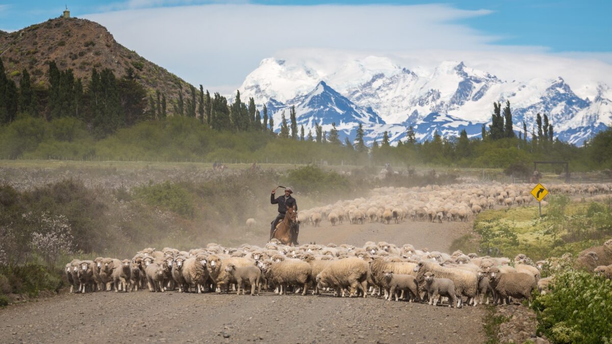 Spirit of the Gaucho