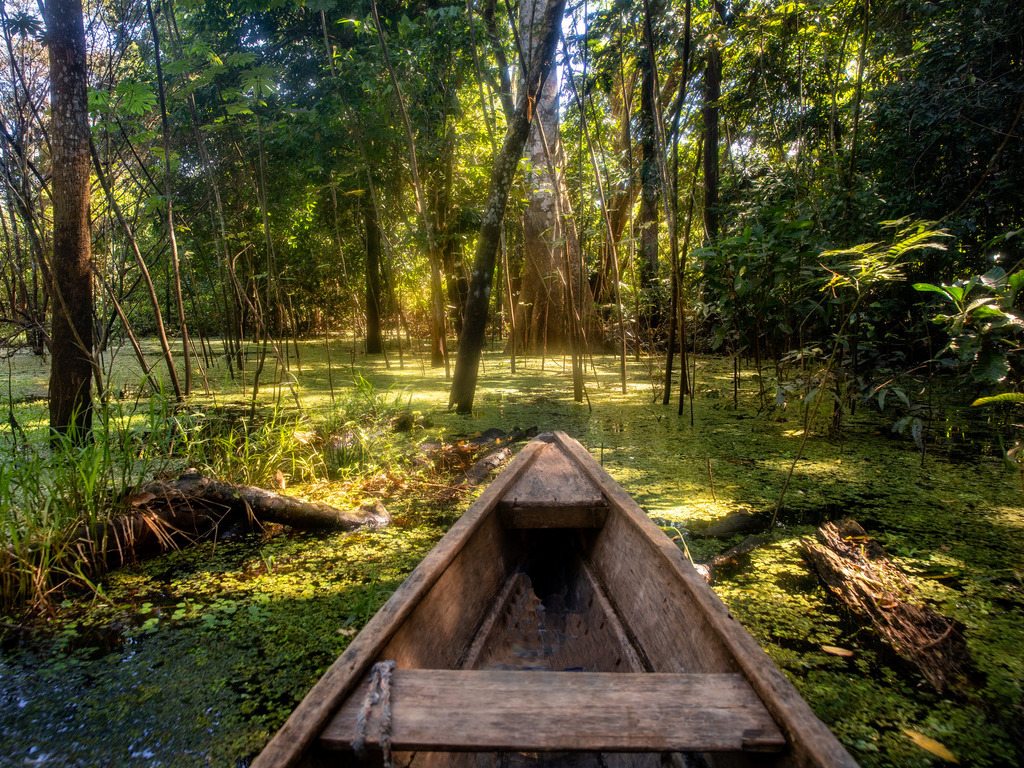 Houten kano in het Amazonewoud bij Leticia, Colombia – reizen met Explore.