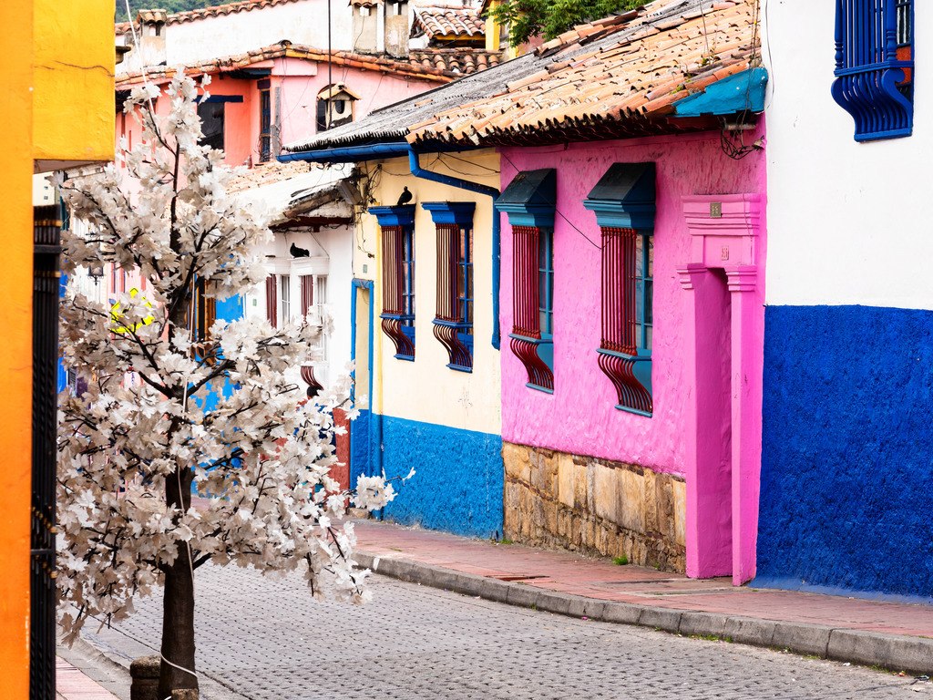 Kleurrijke huizen in Bogotá met witte bloesembomen – reizen met Explore.
