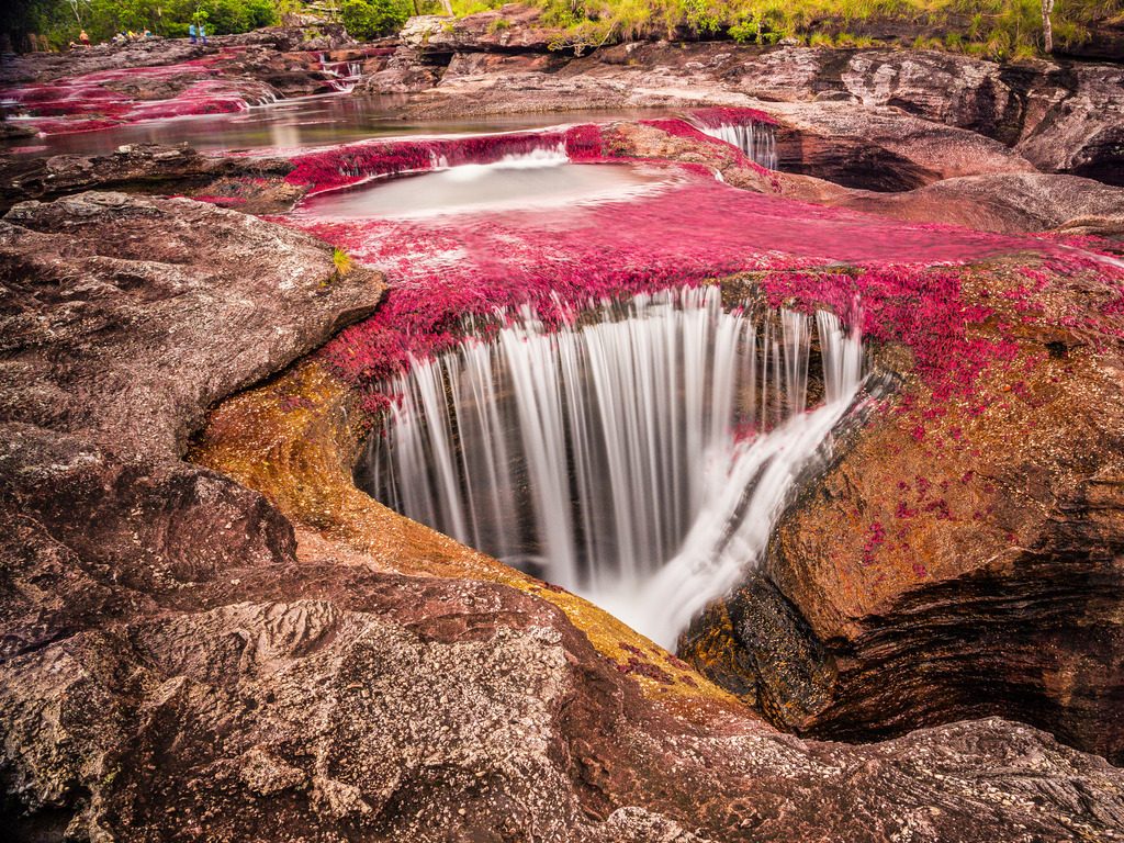 Rode waterplanten in Caño Cristales, Colombia – reizen met Explore.