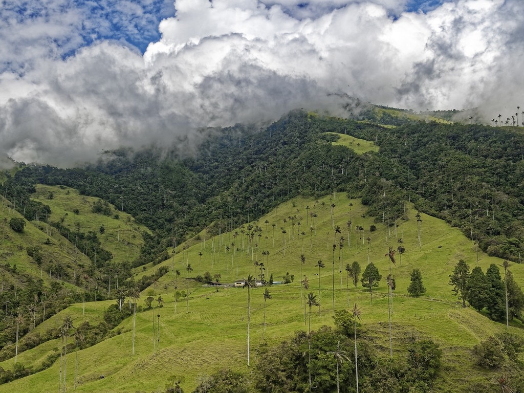 Valle de Cocora groene bergen met hoge waspalmen onder bewolkte lucht – reizen met Explore.