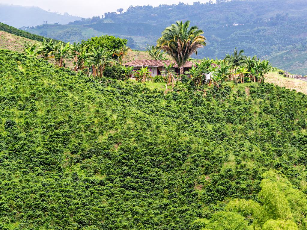 Koffieplantage met huisje in Salento, Colombia – reizen met Explore.