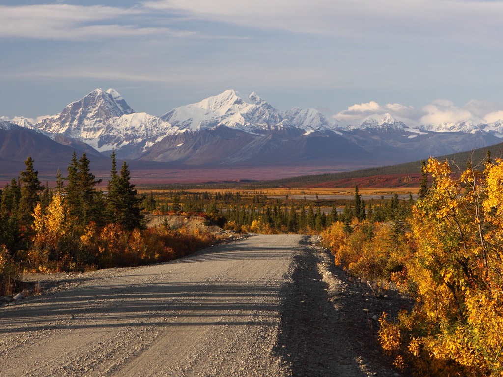 Grindweg langs herfstkleuren en besneeuwde toppen aan de Denali Highway in Alaska – reizen met Explore.