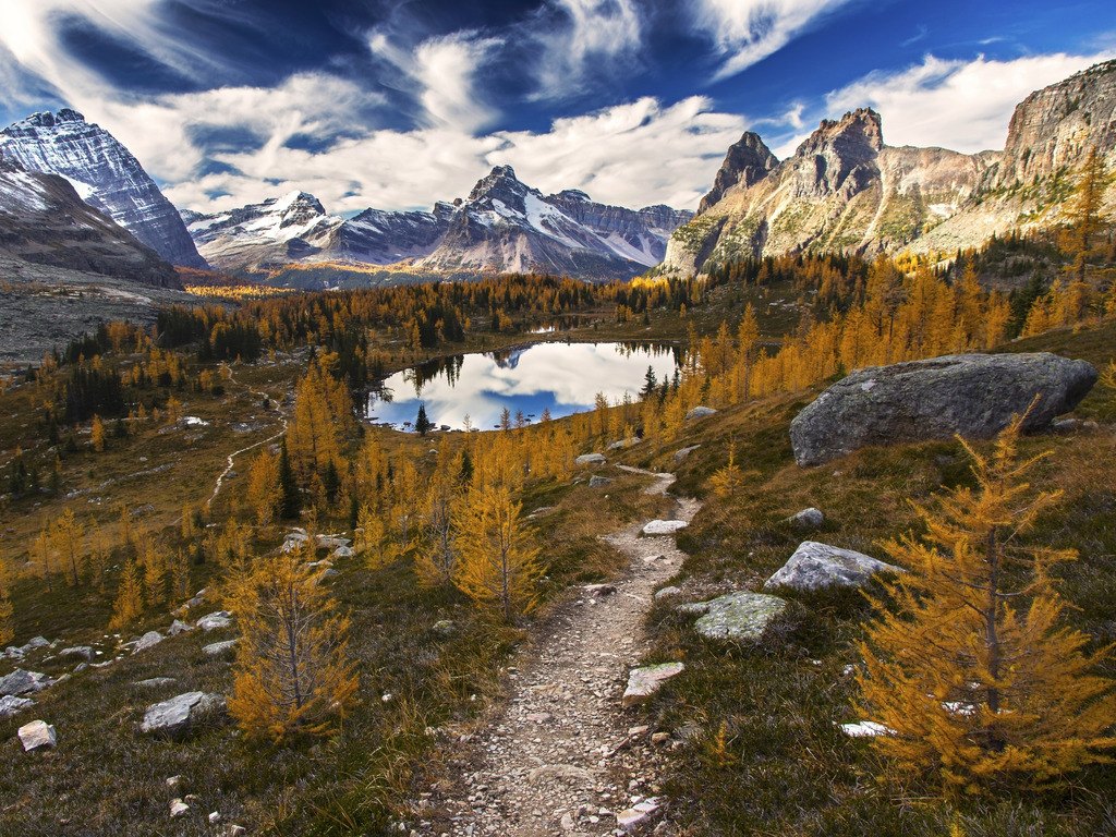 Uitzicht op het Opabin Plateau met Lariksbossen en bergmeren bij Lake O’Hara, Yoho National Park, Canada – reizen met Explore.