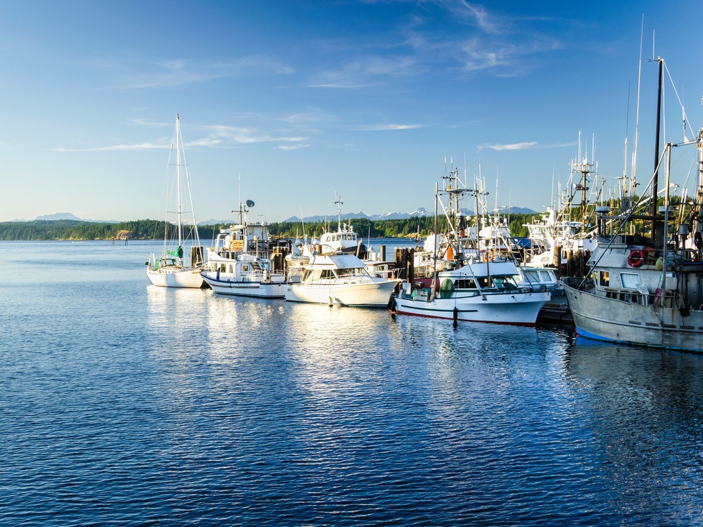 Vissersboten in de haven van Campbell River, Vancouver Island, Canada – reizen met Explore.