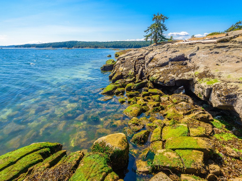 Oever in Nanaimo, Vancouver Island in Canada - reizen met Explore