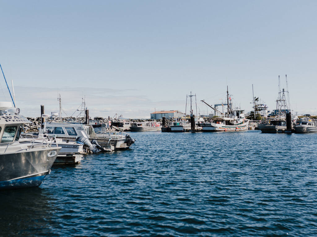 Vissersboten in de haven van Port Hardy, Vancouver Island, Canada – reizen met Explore.