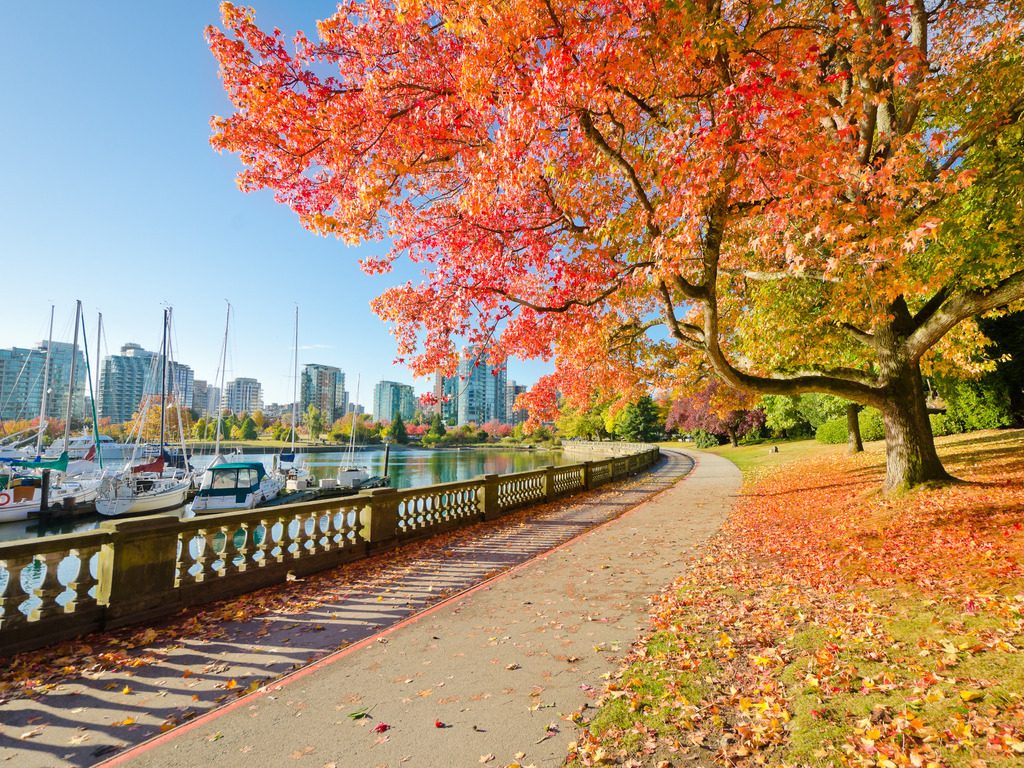 Herfstkleuren in Stanley Park met uitzicht op haven en skyline in Vancouver, British Columbia, Canada – reizen met Explore.