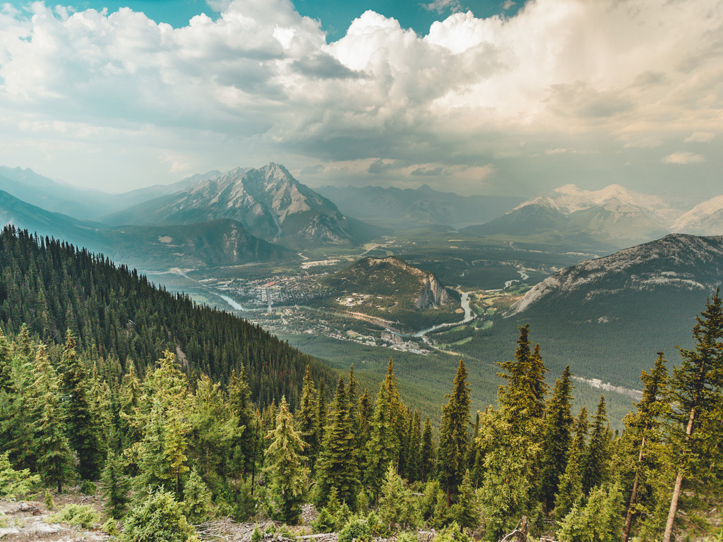 Banff town seen from trees