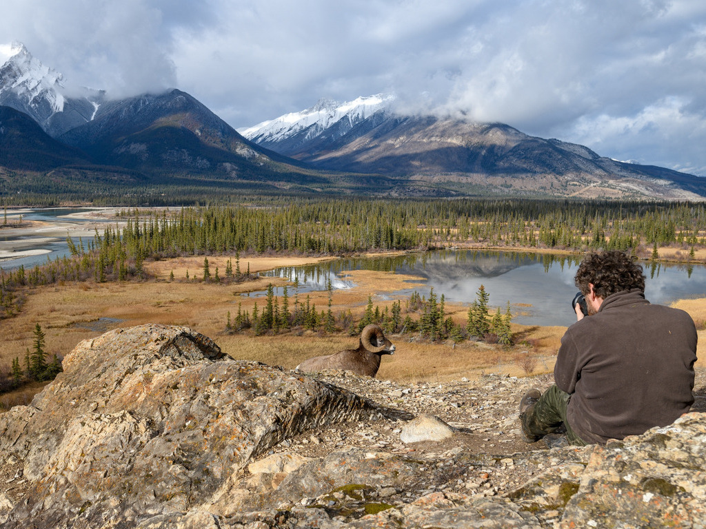 Photographer with goat in Jasper NP