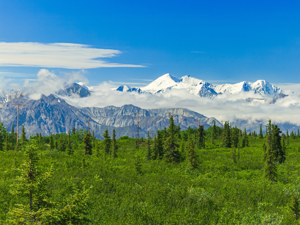 Denali National Park met groen bos en besneeuwde bergen in Alaska, VS – reizen met Explore.