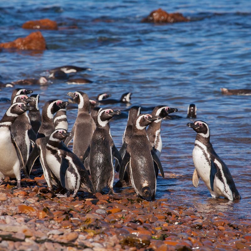 reizen naar Patagonië met Explore