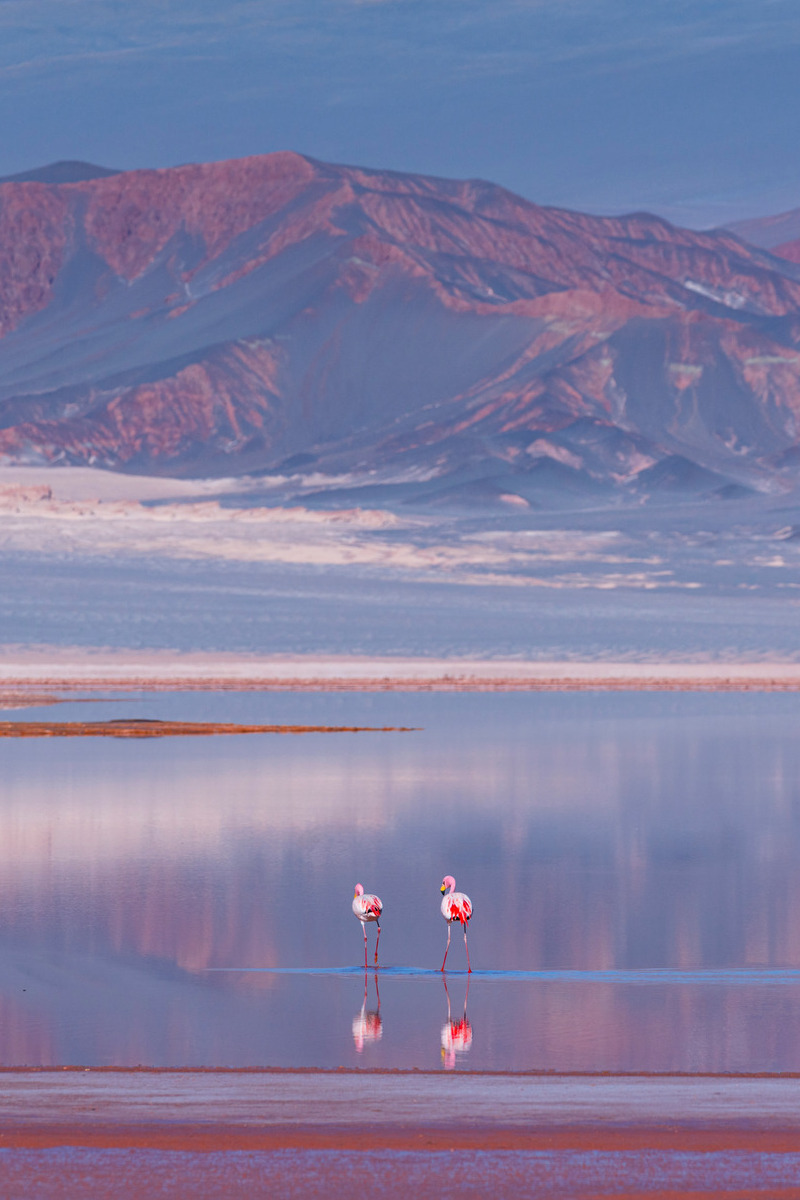 Great Deserts & Wetlands