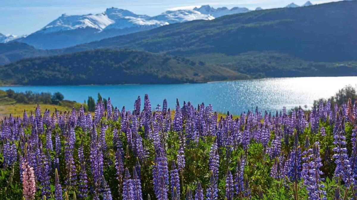 Aysen, Chili - reizen met Explore