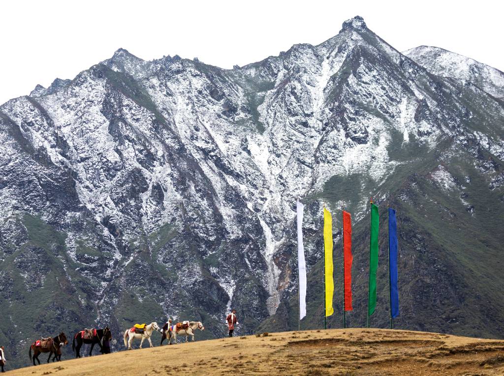 paarden tijdens trekking in Bhutan