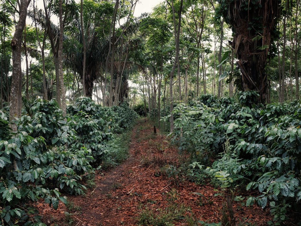 Nationaal Park Amboró in Samaipata, Bolivië - reizen met Explore