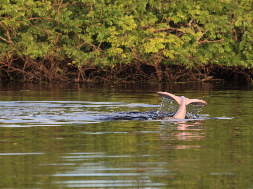 reizen naar Bolivia met Explore