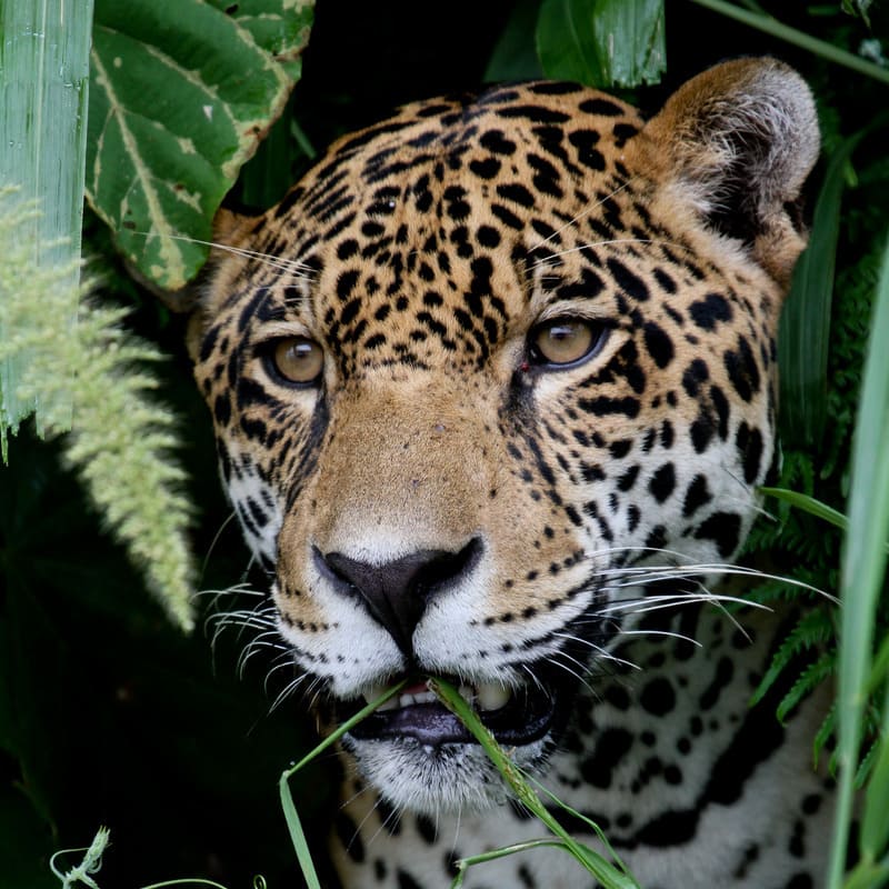 reizen naar Bolivia met Explore