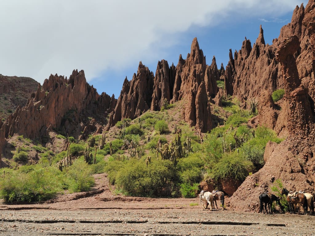 reizen naar Bolivia met Explore
