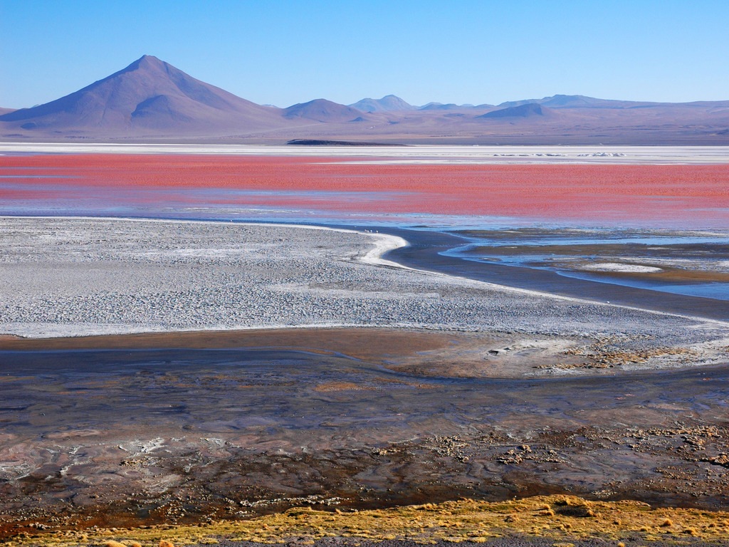 Laguna Colorada in Uyuni, Bolivië - reizen met Explore