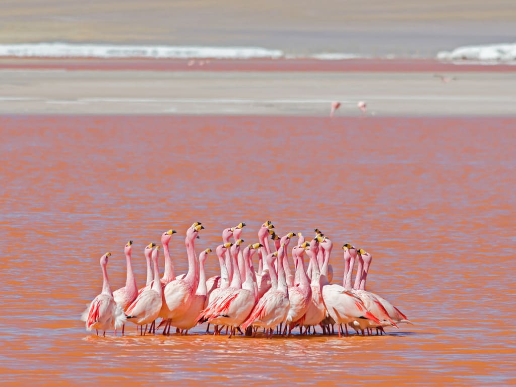 reizen naar Bolivia met Explore