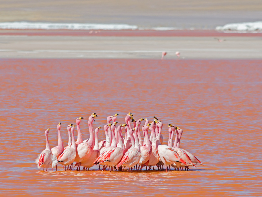 reizen naar Bolivia met Explore